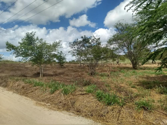 Imagem Terreno à Venda, 4.000 m² em Zona Rural - Bonito