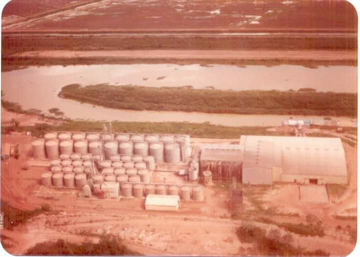 Imagem Fazenda à Venda, 22 HAem rural - Almeirim