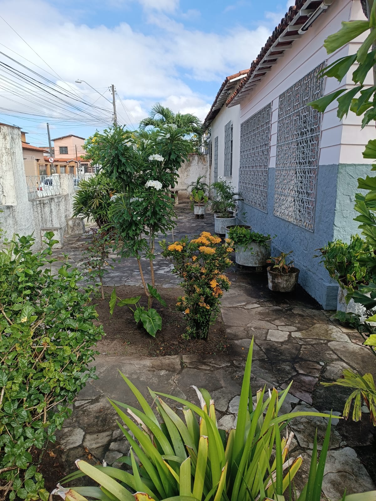 Imagem Casa com 3 Quartos à Venda, 493 m² em Farias Brito - Fortaleza