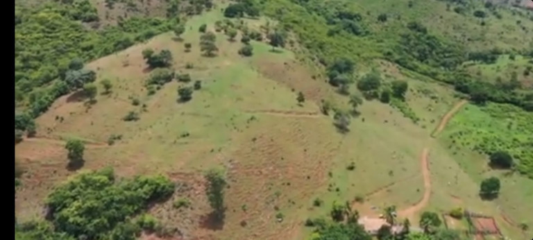 Imagem Fazenda à Venda, 54 Alq GOem Setor Central - Faina
