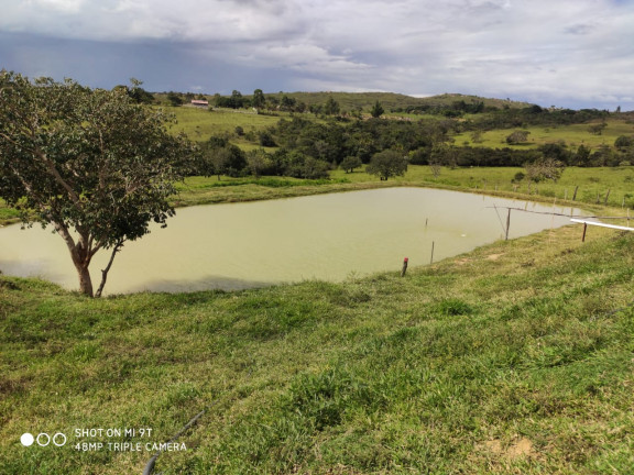 Imagem Fazenda à Venda, 400.000m² em Girassol - Cocalzinho de Goiás
