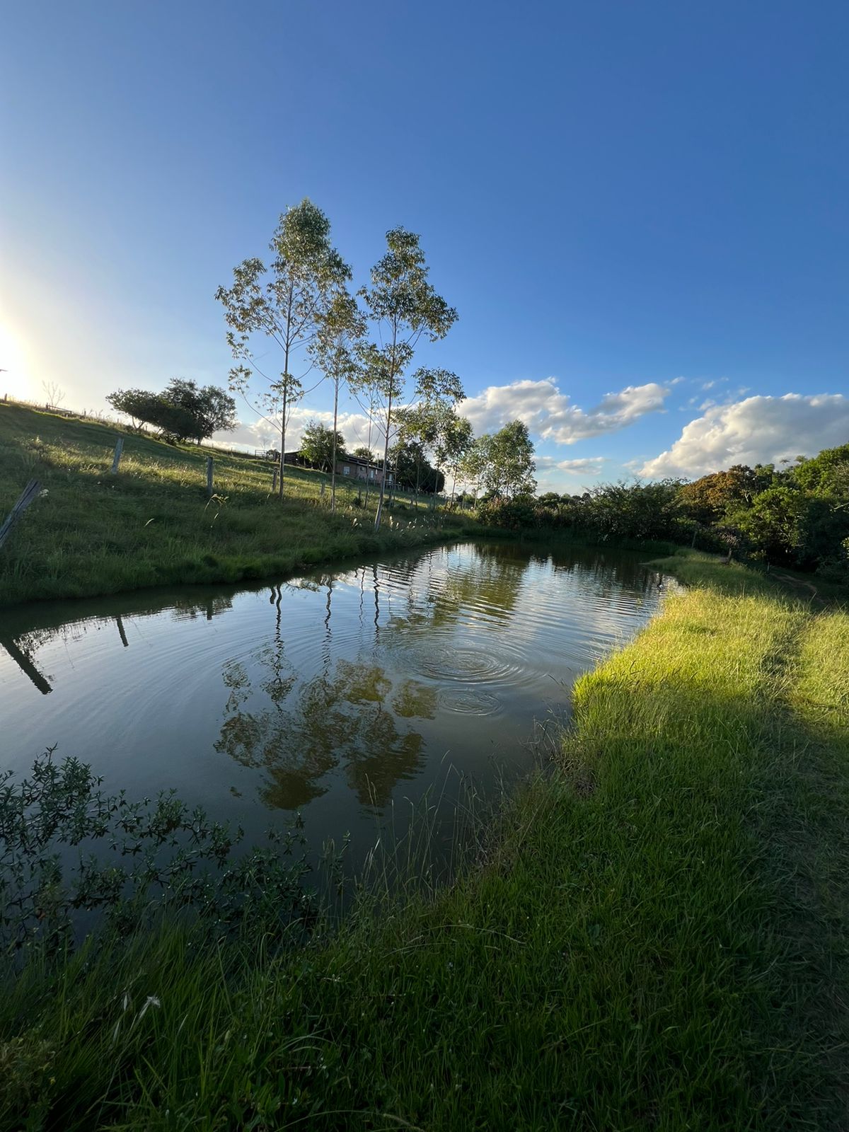 Imagem Chácara à Venda, 100.000 m²em Lomba Grande - Novo Hamburgo