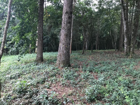 Imagem Terreno em Condomínio à Venda, 1.212 m² em Caxambu - Jundiaí