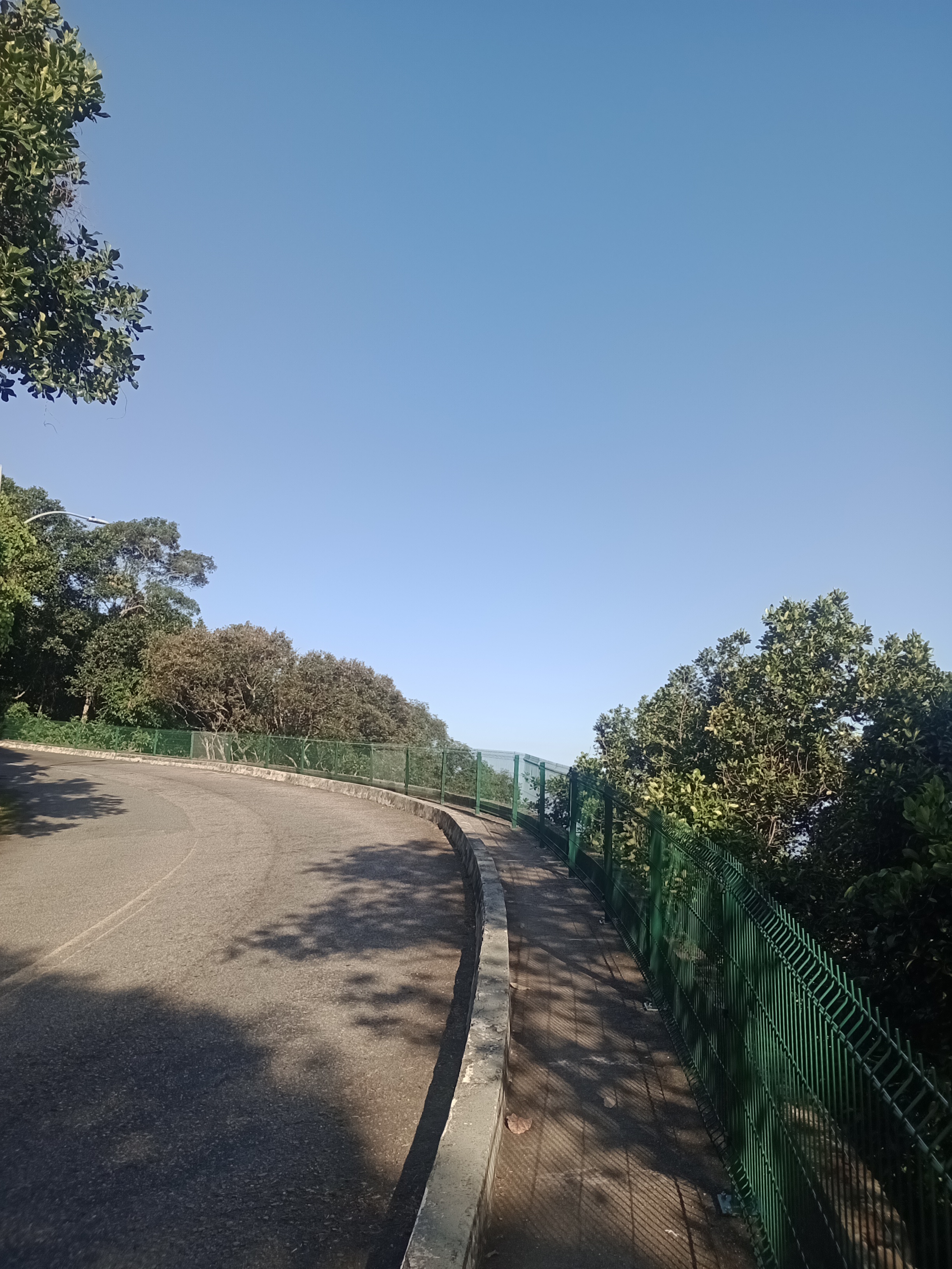Imagem Terreno à Venda, 12.653 m² em Alto da Boa Vista - Rio de Janeiro