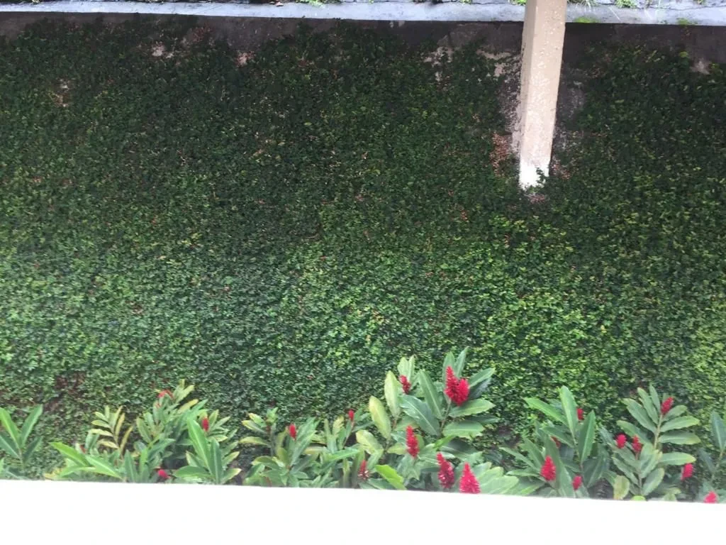 Imagem Apartamento com 2 Quartos à Venda, 65 m² em Pinheiros - São Paulo