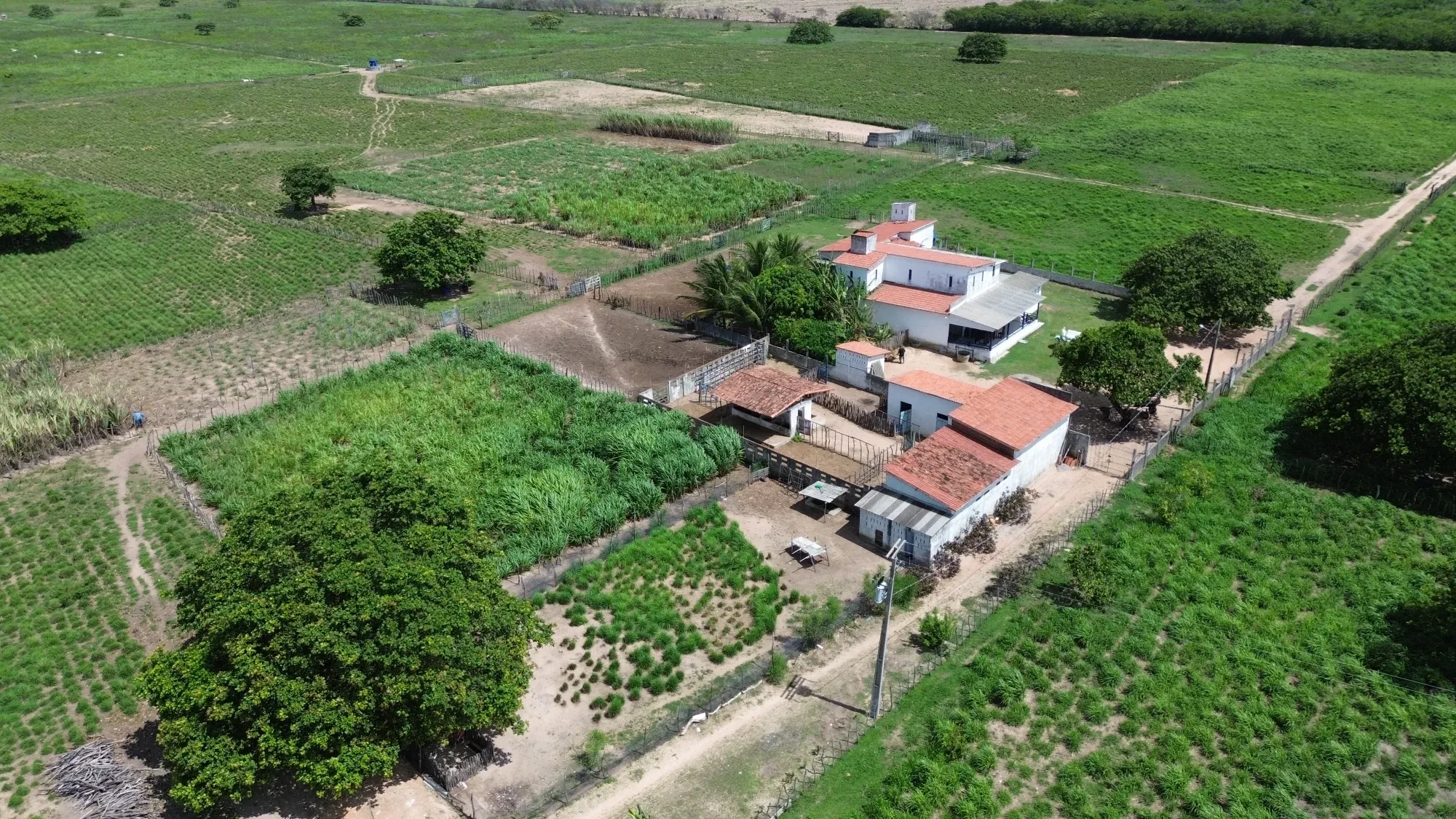 Foto do imóvel: Fazenda à Venda, 100 HA em Fabrício Pedroza - Macaíba
