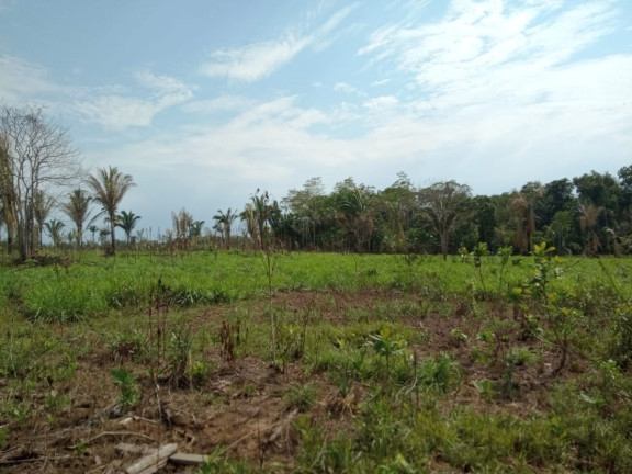 Imagem Terreno à Venda, 2.000 m² em Zona Rural - Humaitá