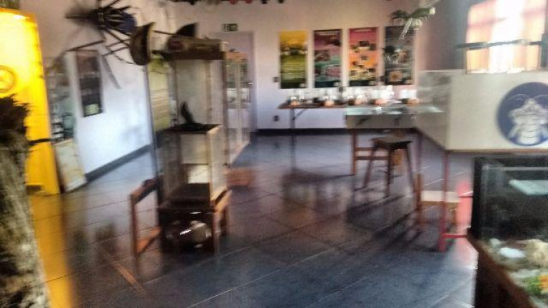 Imagem Imóvel Comercial para Alugar, 2 m² em Nova Petrópolis - São Bernardo Do Campo