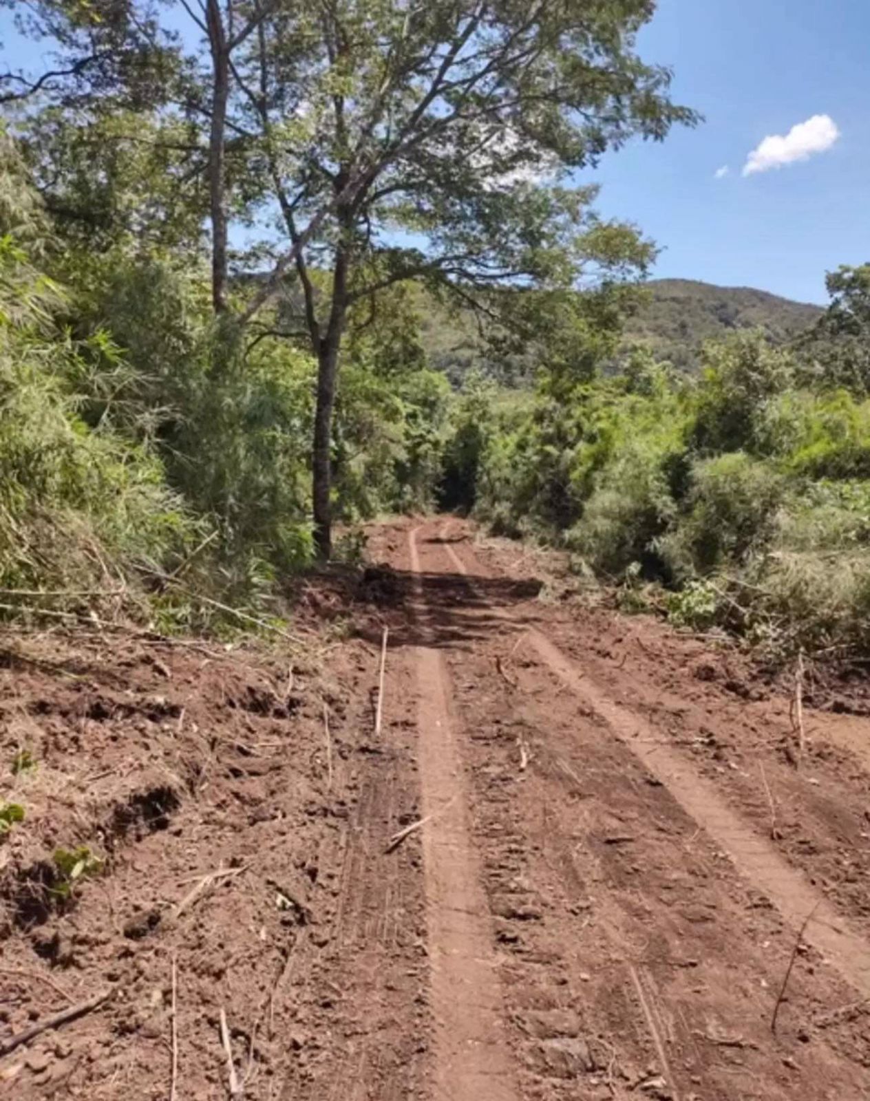 Imagem Fazenda à Venda, 630 HAem ZONA RURAL - Goiás