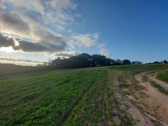 Imagem Terreno à Venda, 1.000 m² em Centro - Cotia