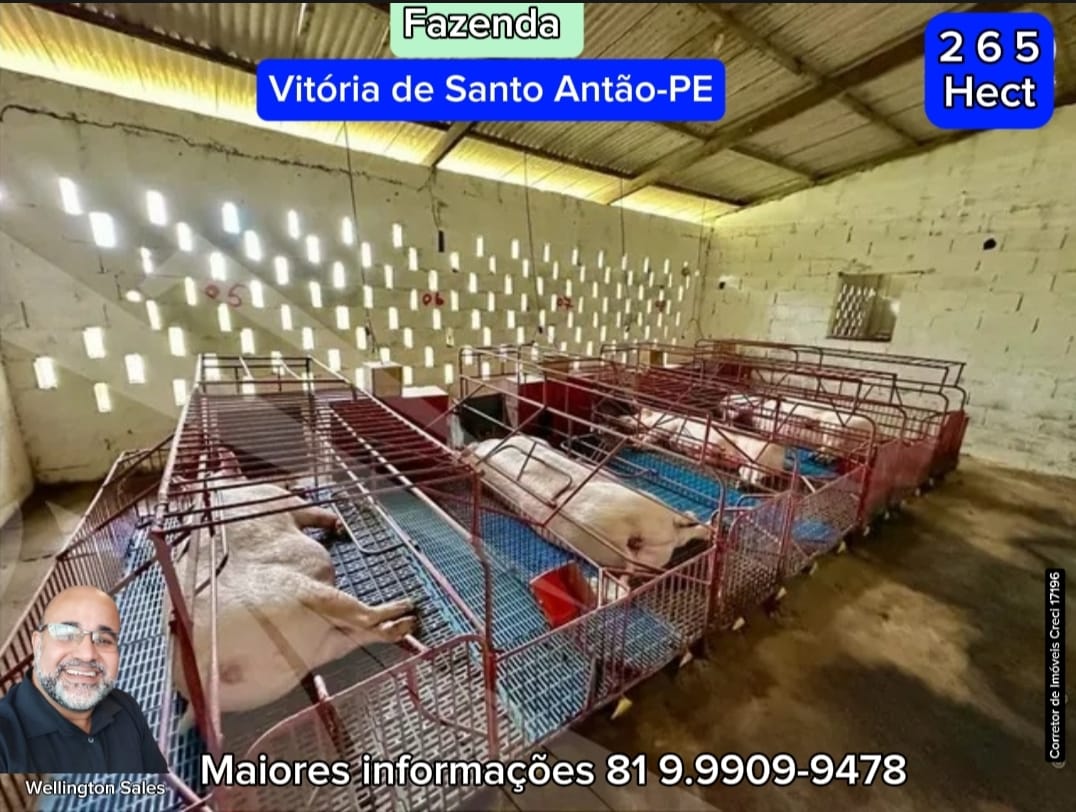 Imagem Imóvel com 4 Quartos à Venda, 265 m²em Área Rural de Vitória do Santo Antão - Vitória de Santo Antão
