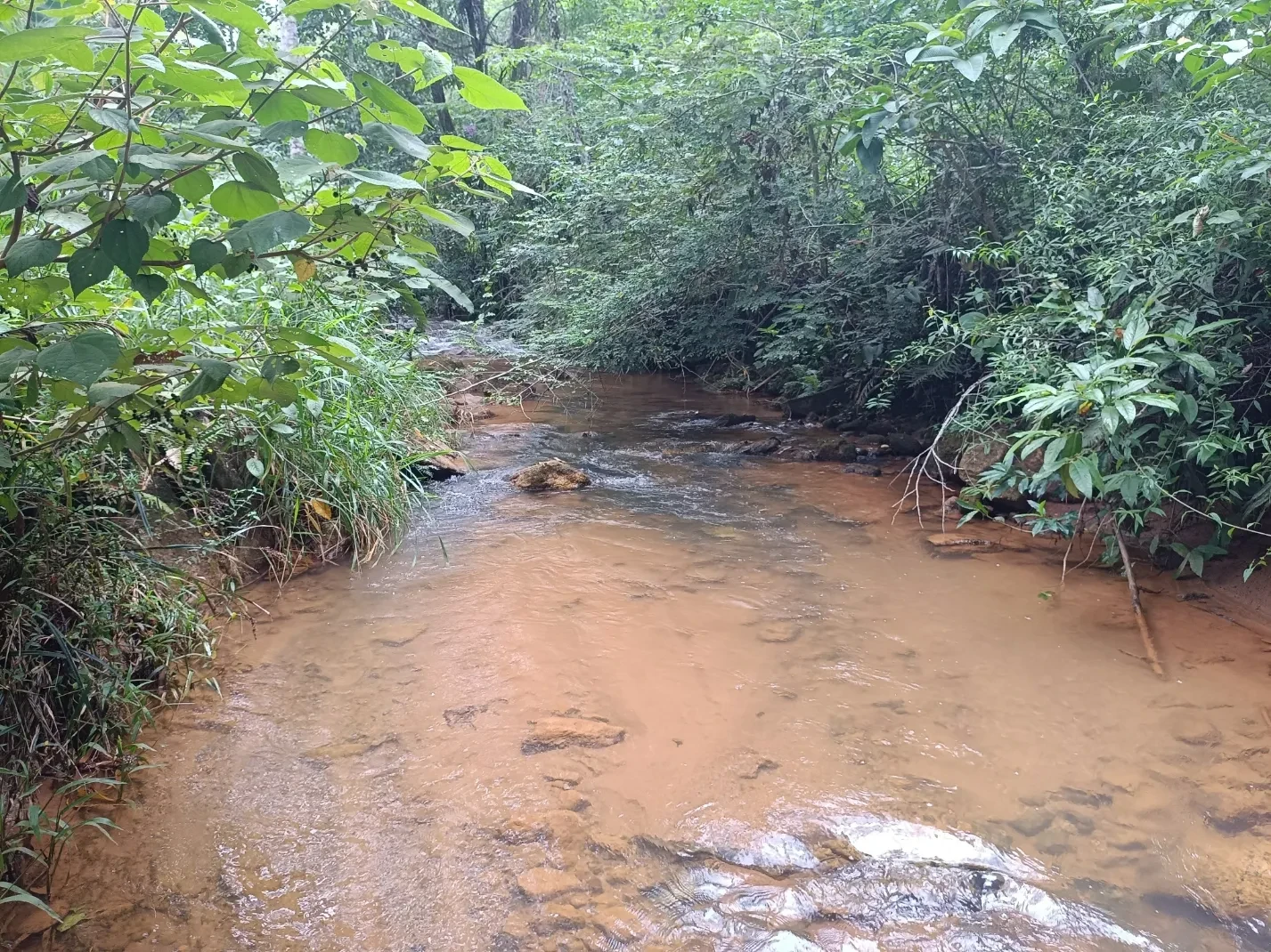 Imagem Chácara à Venda, 20000 metros em Santa Leopoldina - Santa Leopoldina