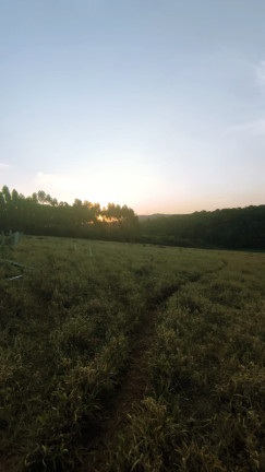 Imagem Terreno em Condomínio à Venda, 1.000 m² em Sebandilha - Mairinque