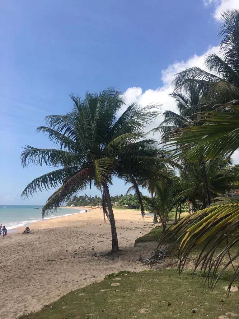 Imagem Casa de Condomínio com 3 Quartos para Alugar, 50 m² em Vera Cruz - Vera Cruz