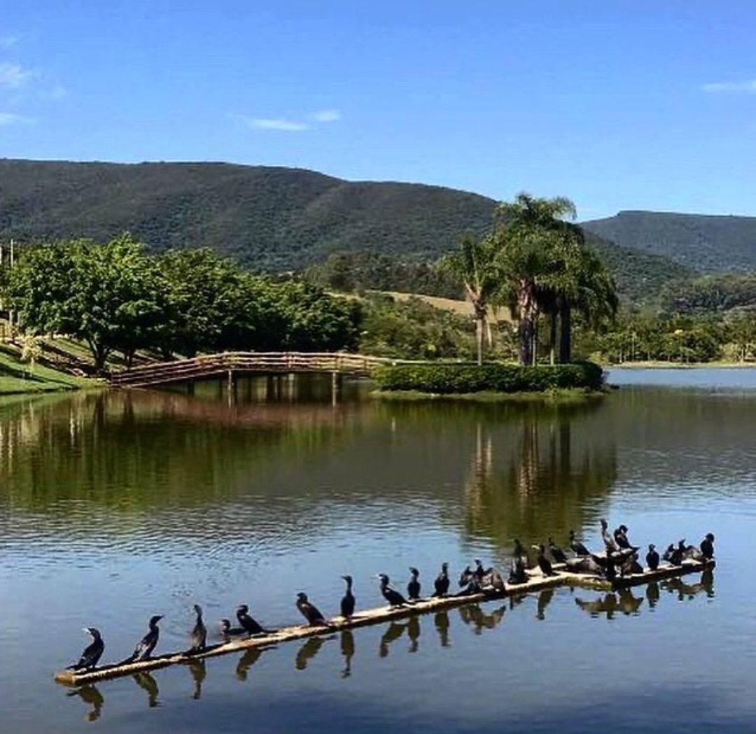 Imagem Terreno à Venda, 520 m²em Condomínio Reserva da Serra - Jundiaí