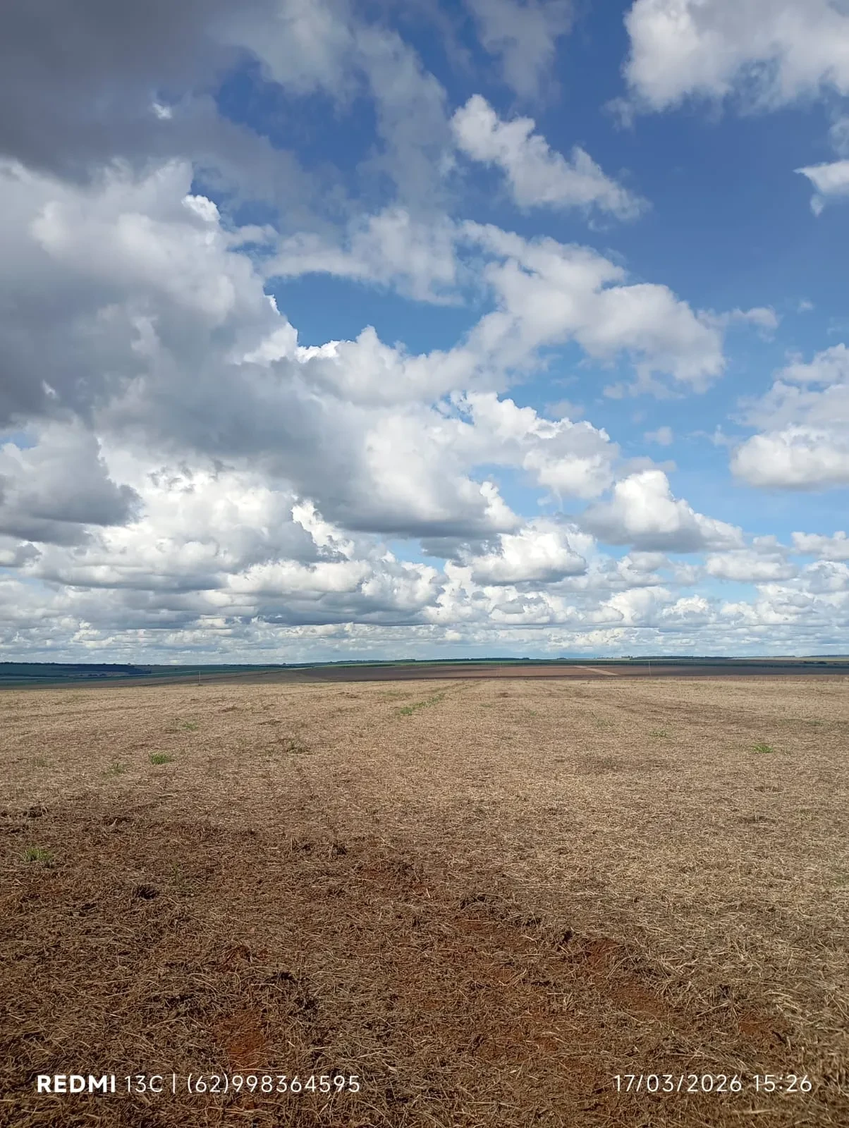 Imagem Fazenda à Venda, 50 Alq. GO em Montividiu - Montividiu