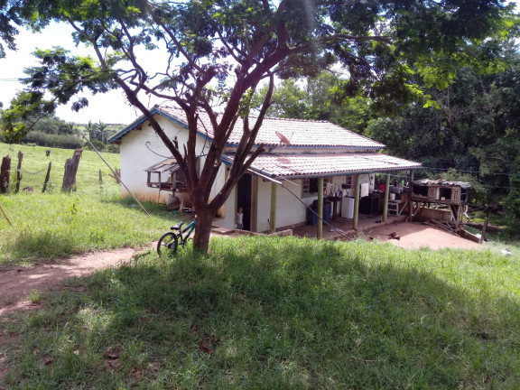 Imagem Chácara com 4 Quartos à Venda, 25.000 m²em Jardim Palmeiras - Caçapava