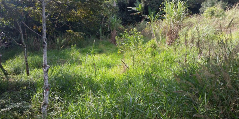 Imagem Chácara com 1 Quarto à Venda, 2.600 m² em Centro - Santa Isabel