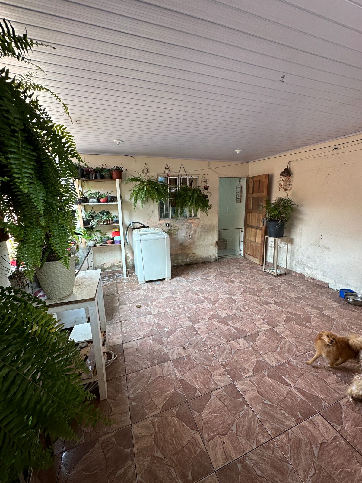 Imagem Casa com 3 Quartos à Venda, 80 m²em Jardim das Rosas (Zona Sul) - São Paulo