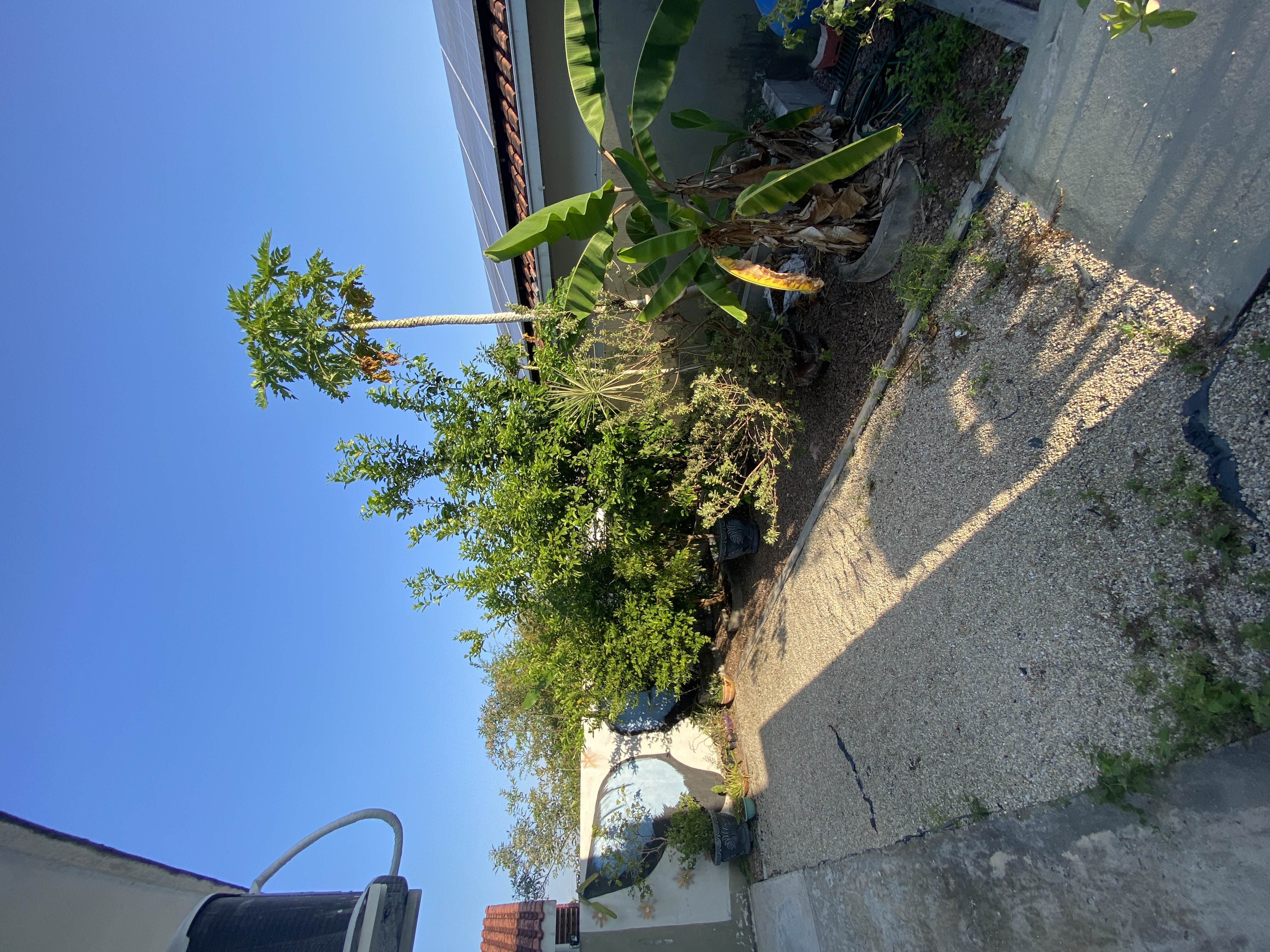 Foto do imóvel: Casa com 3 Quartos à Venda, 73 m² em Tarumã-Açu - Manaus