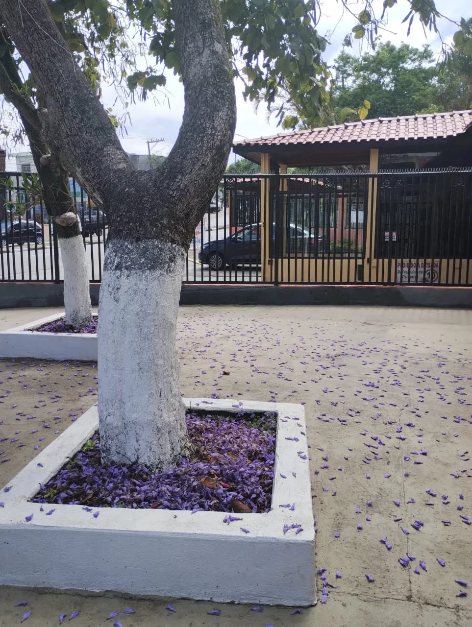 Foto do imóvel: Apartamento com 2 Quartos à Venda, 48 m² em Parque Dourado - Ferraz de Vasconcelos