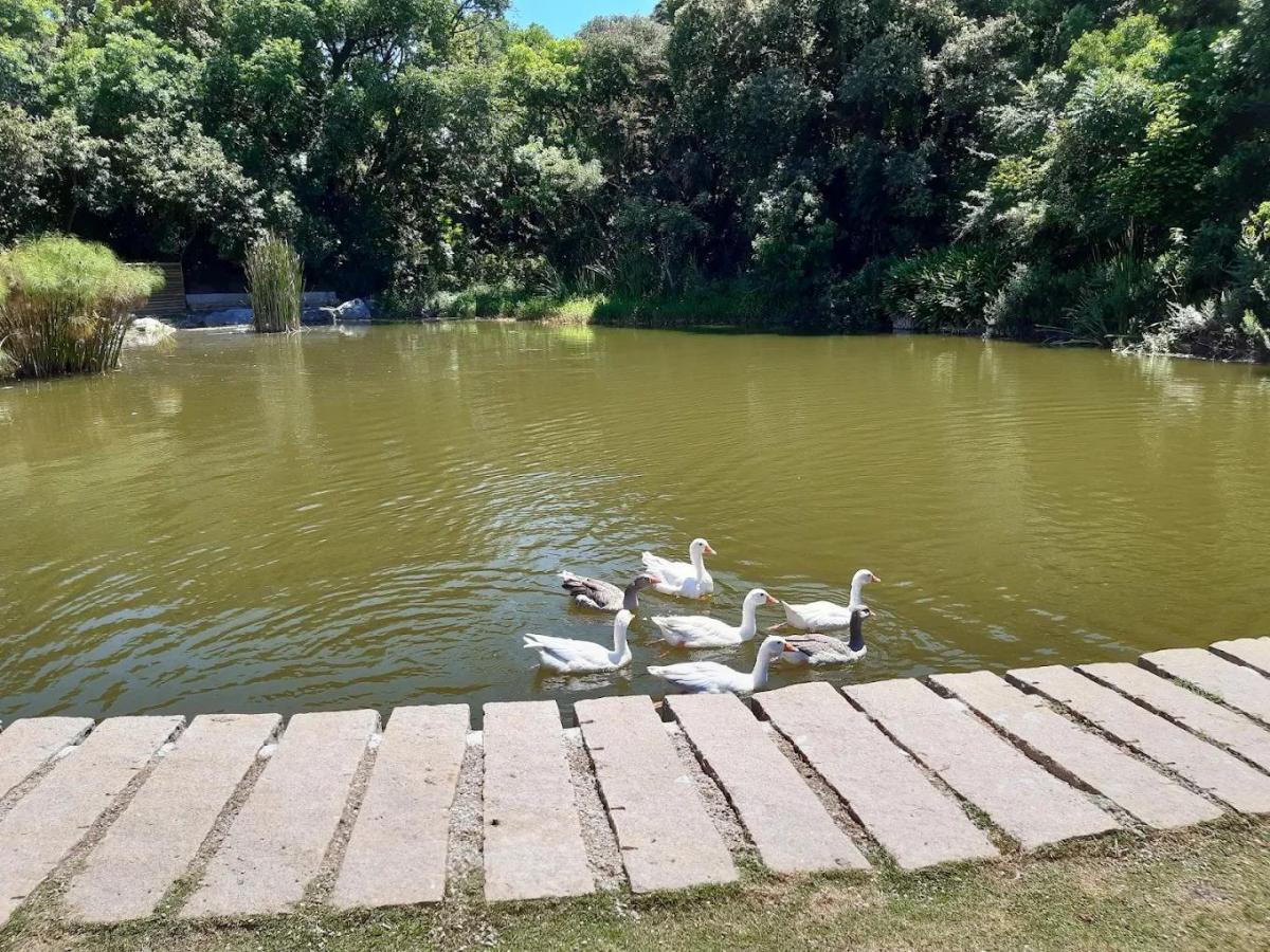 Imagem Apartamento com 2 Quartos à Venda, 4000 m² em Santo Antônio - São José dos Pinhais