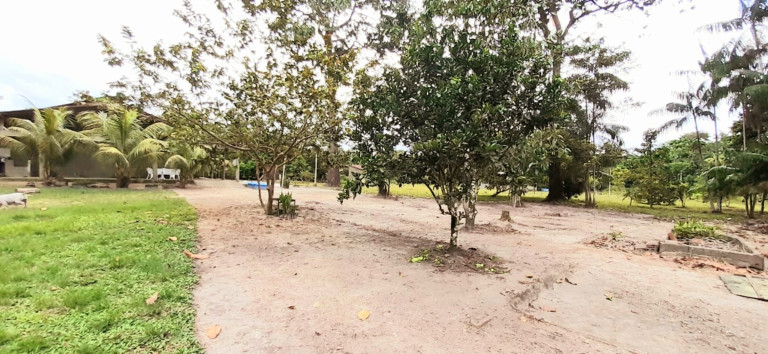 Imagem Chácara com 5 Quartos à Venda, 980 m² em Apeu - Castanhal