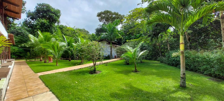 Imagem Chácara com 4 Quartos à Venda,  em Aldeia dos Camarás - Camaragibe