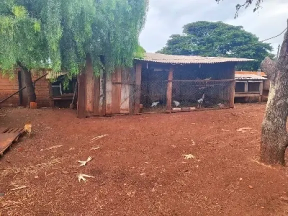 Imagem Chácara com 2 Quartos à Venda, 5000 metros em Pitangueiras - Pitangueiras