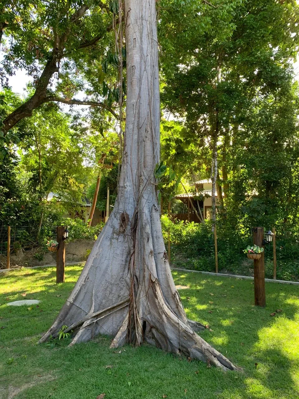 Imagem Casa com 3 Quartos para Alugar, em Mata de São João - Mata de São João