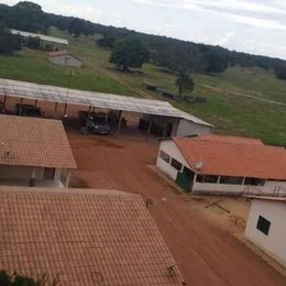 Imagem Fazenda à Venda, 8 HAem ZONA RURAL - Cocalinho