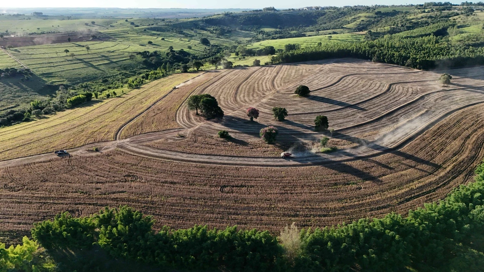 Imagem Fazenda à Venda, 138 HA em Área Rural de Echaporã - Echaporã