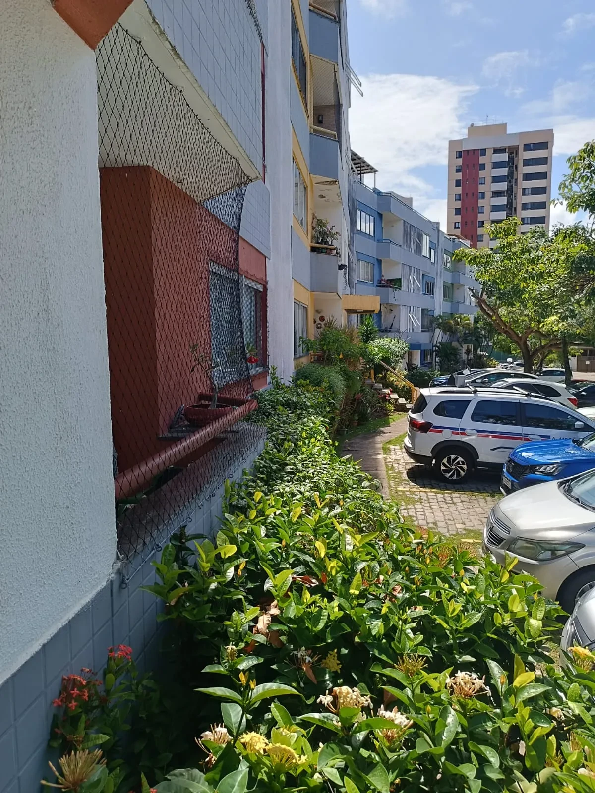 Imagem Apartamento com 3 Quartos à Venda, 110 metros em Costa Azul - Salvador