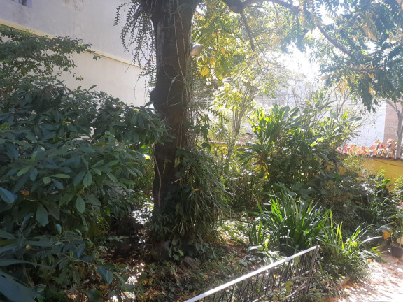 Imagem Casa com 4 Quartos à Venda, 150 m² em Trindade - São Gonçalo