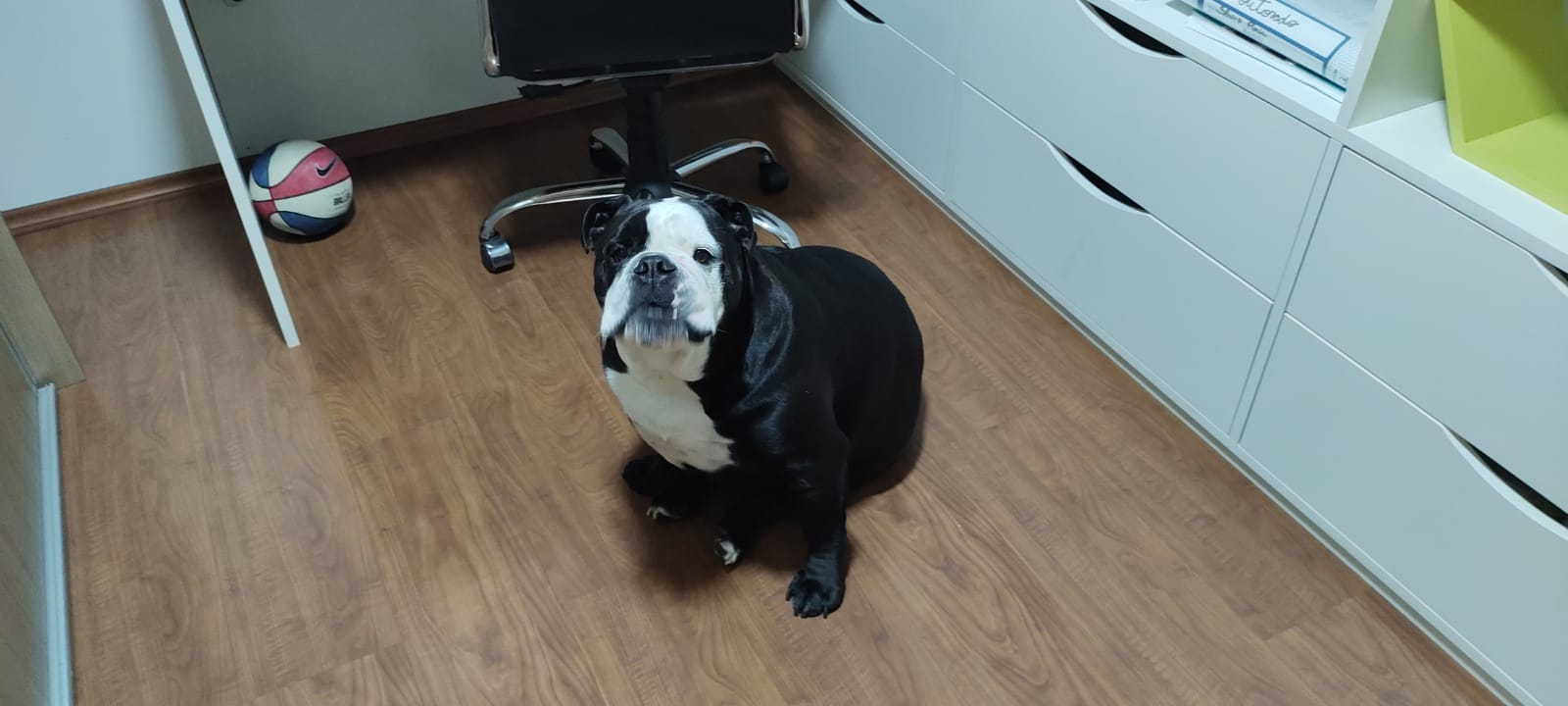 Imagem Apartamento com 2 Quartos à Venda, 64 m²em Parque Imperial - São Paulo