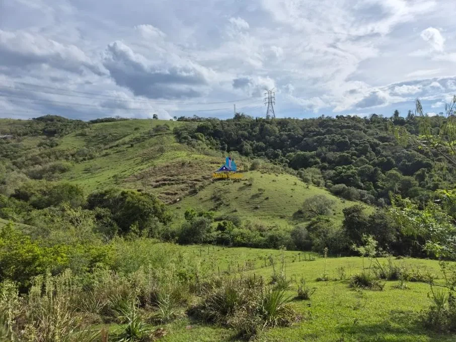 Imagem Chácara à Venda, 1666 m² em Capela Velha - Santana de Parnaíba
