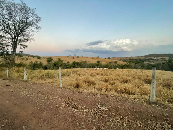 Imagem Chácara com 5 Quartos à Venda, 57.475 m² em Zona rural  - Bela Vista de Goiás