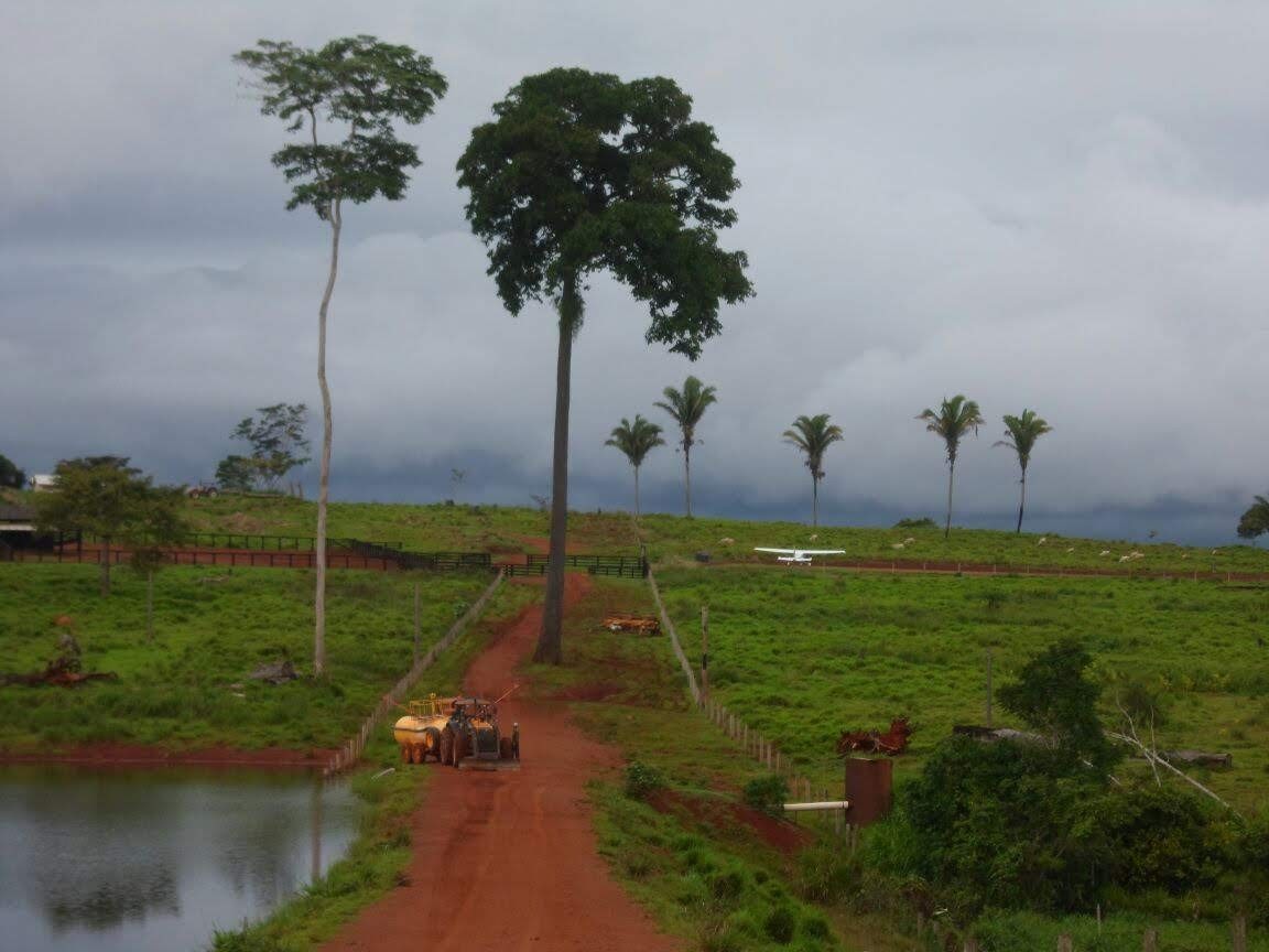 Foto do imóvel: Fazenda à Venda, 9.399 m² em Centro  - São Félix do Xingu
