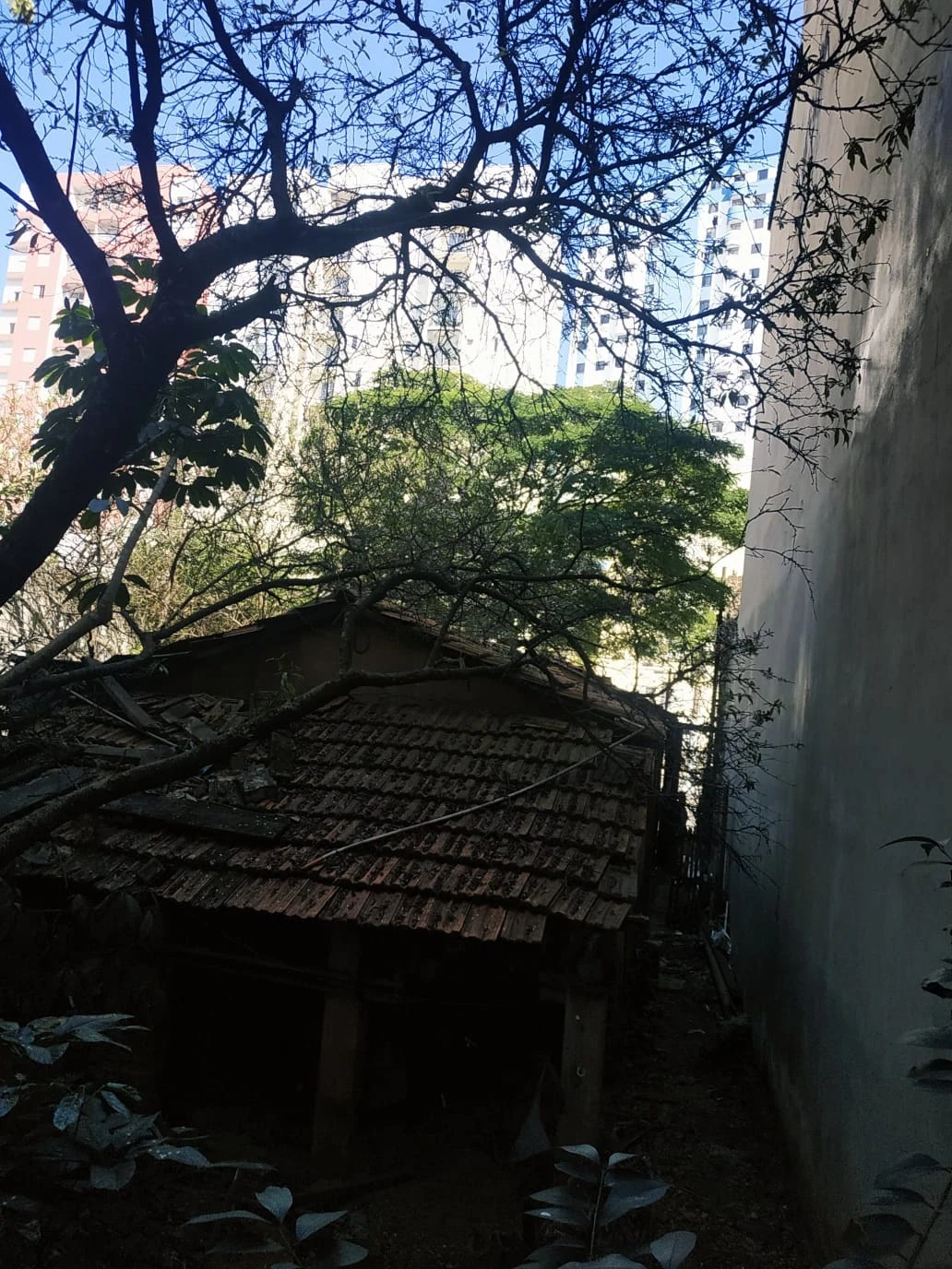 Imagem Terreno à Venda, 211 m² em Vila Matilde - São Paulo