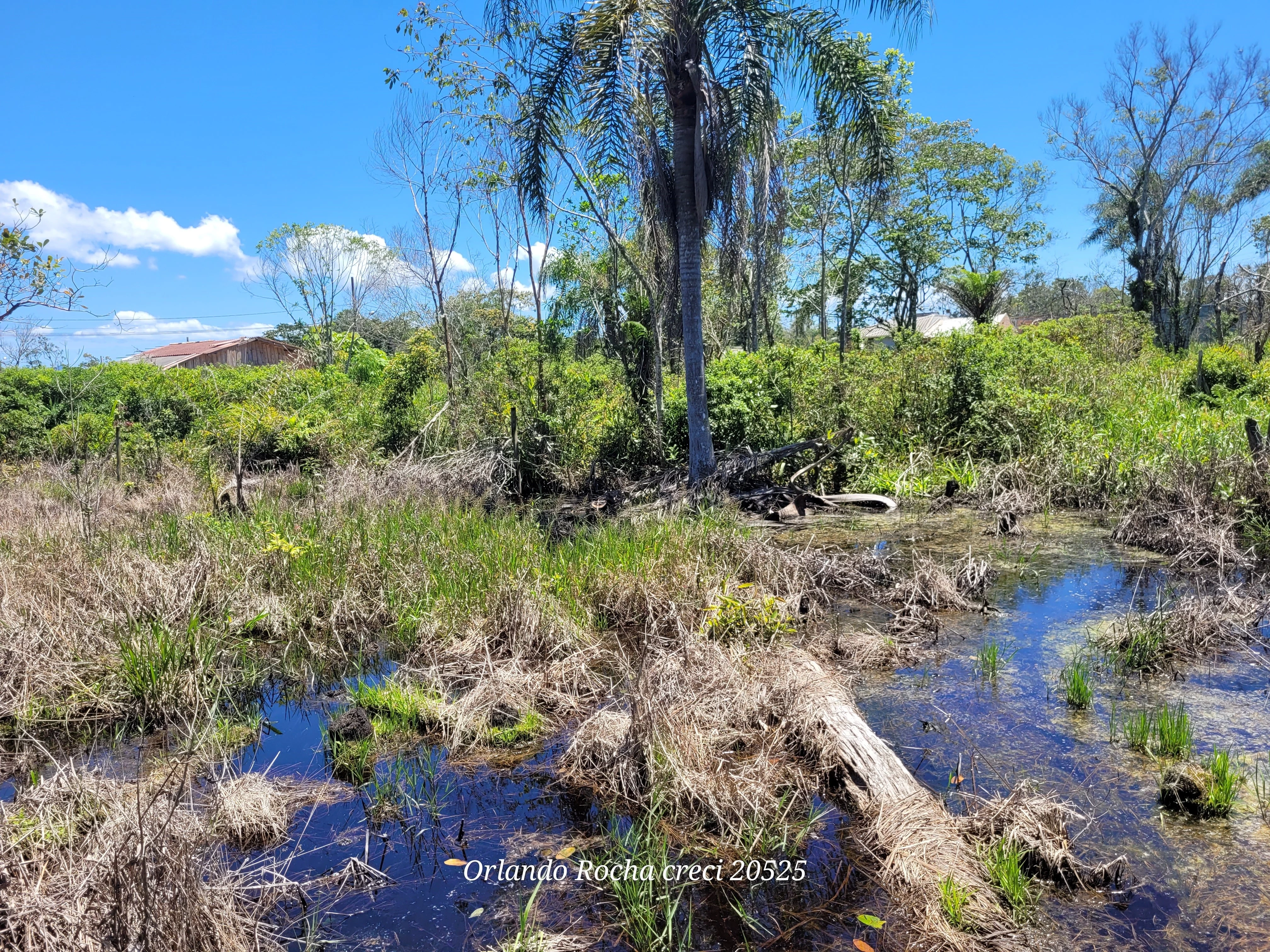 Foto do imóvel: Terreno à Venda, 360 m² em Barra do Saí - Itapoá