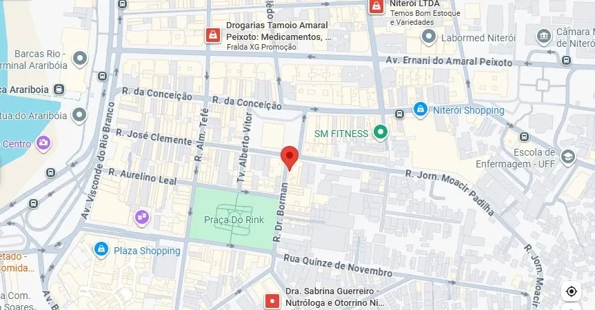 Imagem Apartamento com 1 Quarto à Venda, 55 m² em Centro - Niterói