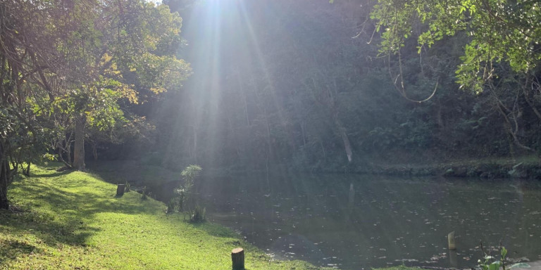 Imagem Chácara com 3 Quartos à Venda, 30.000 m² em Centro - Santa Isabel