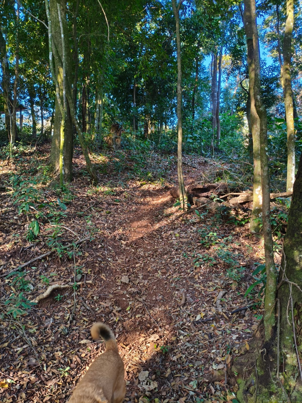 Foto do imóvel: Terreno à Venda, 2.000 m² em Recanto da Aldeia - Brumadinho