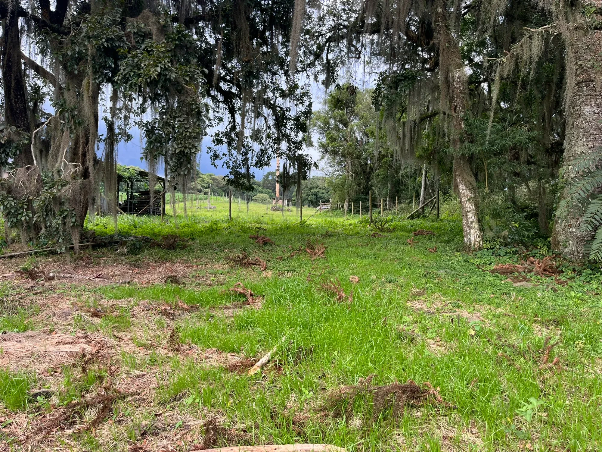 Foto do imóvel: Chácara à Venda, 20000 m² em São Marcos - São José dos Pinhais