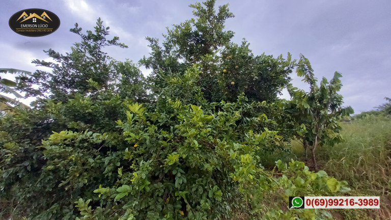 Imagem Chácara à Venda, 200 m² em Areia Branca - Porto Velho