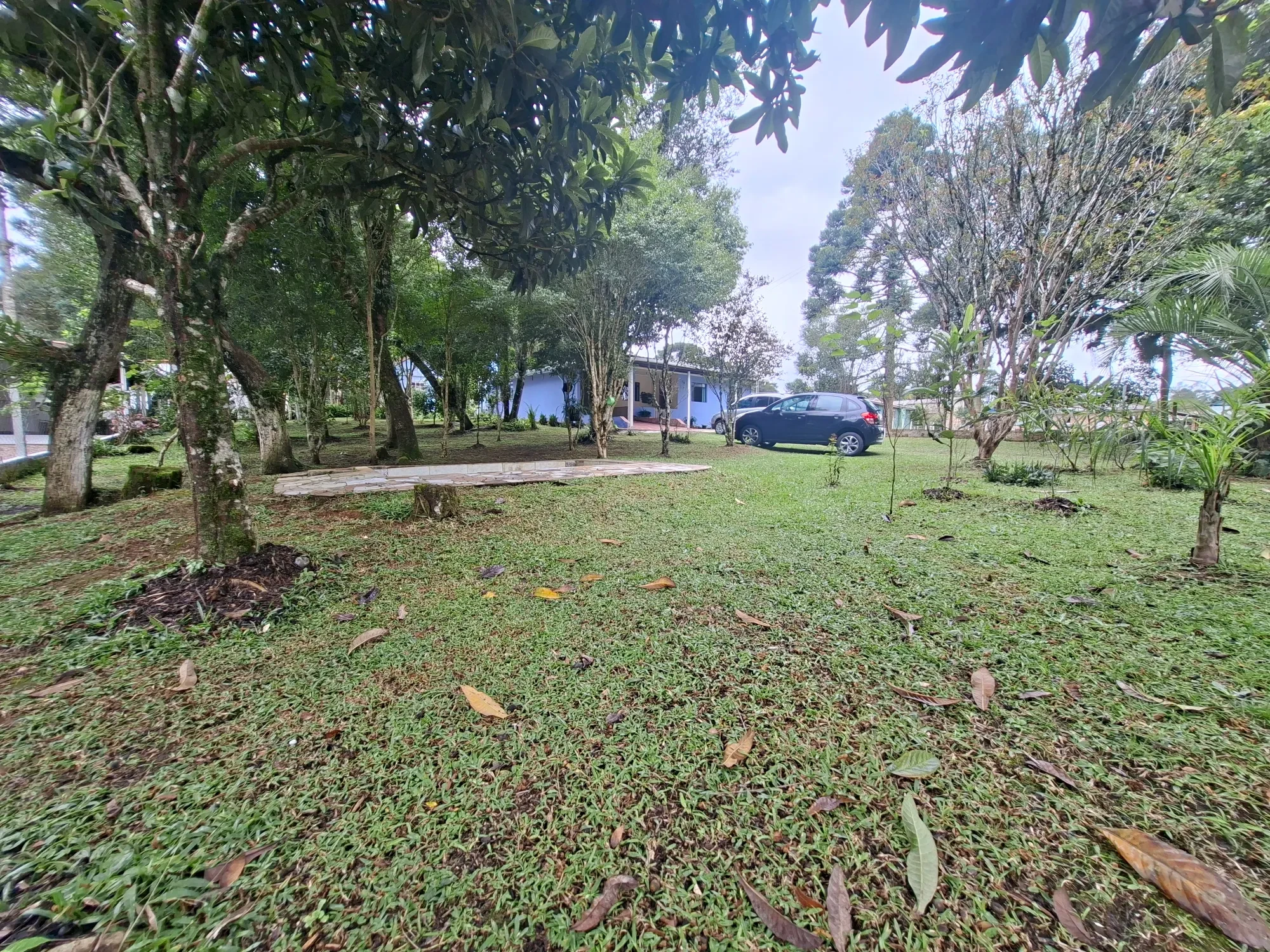 Imagem Chácara com 2 Quartos à Venda, 80 m² em Campo Alto - Tijucas do Sul