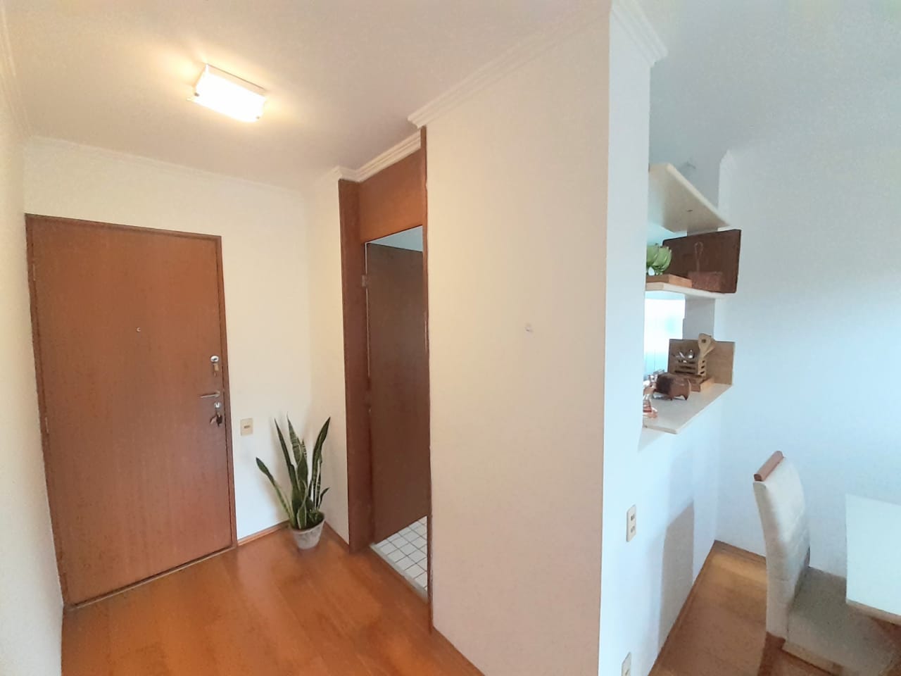 Imagem Apartamento com 3 Quartos para Alugar, 73 m²em Jardim Ampliação - São Paulo