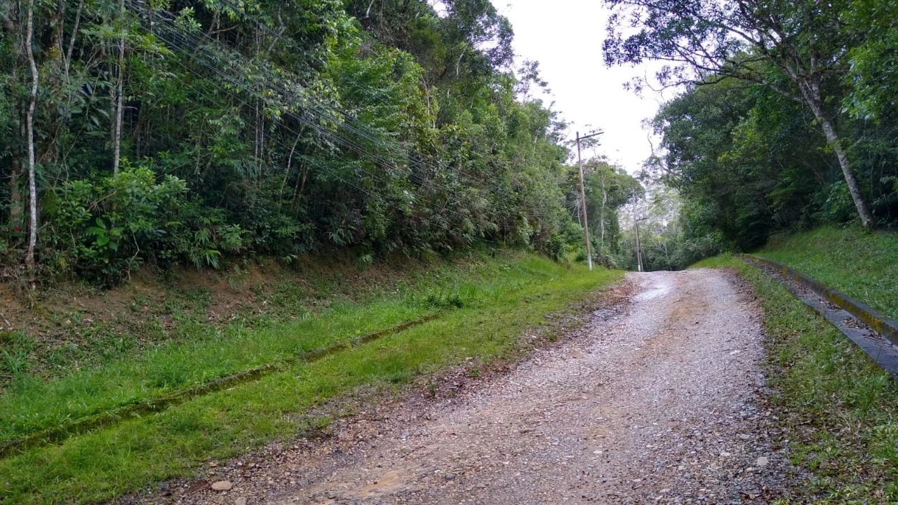 Imagem Terreno à Venda, 2.000 m² em Dos Borges - Embu-Guaçu