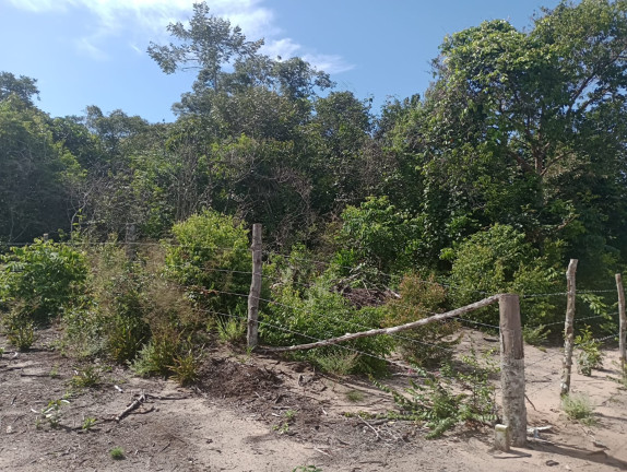 Imagem Terreno à Venda, 44.200 m² em Centro - Santarém