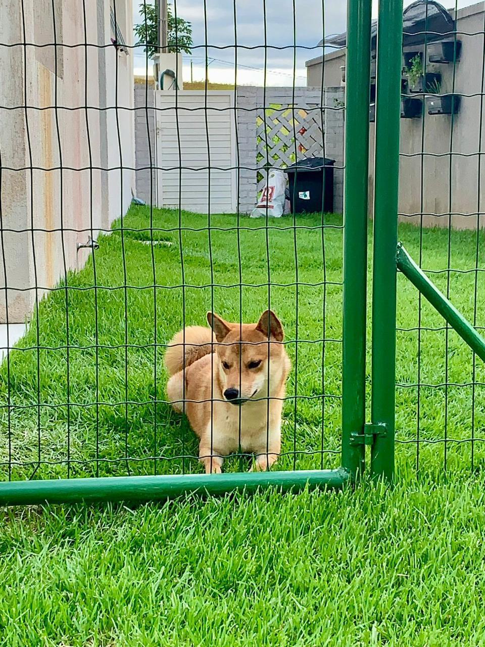 Foto do imóvel: Casa com 4 Quartos à Venda, 384 m² em Várzea - Recife